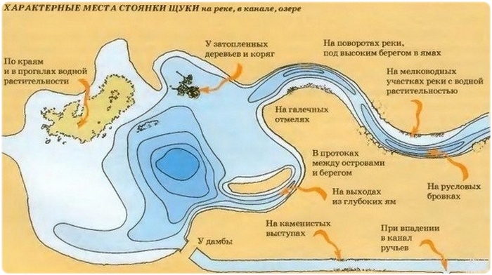 Места где держится рыба Места где держится рыба